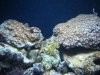 DSC01138.JPG