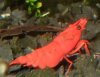 20110514141935k.jpg
