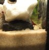 DSCF41361.JPG
