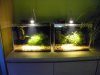 DSCN0992_1080x810.jpg