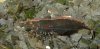 20110518202327k.jpg