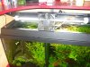 SDC11552kl.jpg