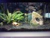 aquarium.jpg