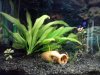 aquarium2.jpg