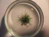 DSCF2879.JPG DSCF2879.JPG