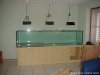 Aquarium001.jpg
