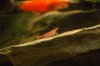 dsc_3313c8zk.jpg