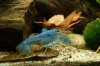 dsc_3302hjvf.jpg