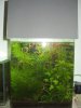 03-05-2011-hummel-cube.jpg