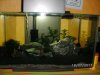 BILD0142.jpg