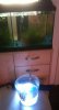 IMG_0318.JPG IMG_0318.JPG