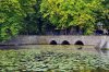 NL 2011 02.jpg NL 2011 02.jpg