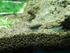 DSCN0235.JPG