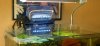 DSCN5978.JPG