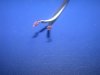 DSCN5962.JPG