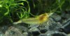 DSC07224.JPG