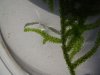 DSCF5211.JPG
