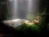 Fluval Edge -Front Rechts.JPG Fluval Edge -Front Rechts.JPG