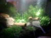 Fluval Edge neu2.JPG