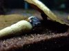 2011_0929AQdiverse0003_600x600_500KB.jpg