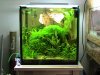 Aquarien Terrarien 010.jpg