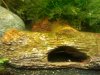 2011-10-09 14.36.41.jpg