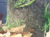 20111021163207.JPG 20111021163207.JPG