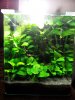 30 L.jpg
