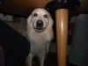 DSCF5877.JPG
