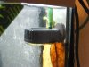 DSCF2477.JPG