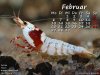 Feb..jpg Feb..jpg