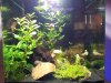 20111127_195642.jpg
