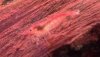 IMG_0150.jpg IMG_0150.jpg