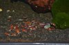 DSC_0240.JPG DSC_0240.JPG