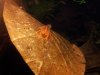 20111208_000045.jpg