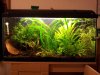20111207_235724.jpg