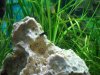 2011-12-08_Bild-03.jpg