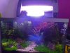 Tetra Aquaart Beleuchtung2.jpg