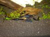 2011-12-11_Bild-01.jpg