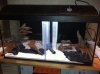 IMG_0903.JPG IMG_0903.JPG