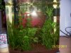 100_4885.JPG