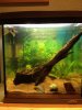 30L AquaArt-Lukas.jpg