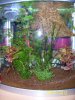 100_4937.JPG