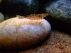 2012_0108AQdiverse0025_600x600_500KB.jpg 2012_0108AQdiverse0025_600x600_500KB.jpg