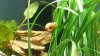 01_Schnecke_Forum.jpg