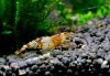 _DSC0510web.jpg