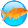 goldfish92