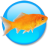 goldfish92