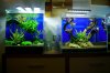 DSC06333.JPG