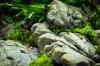 DSC06399.JPG